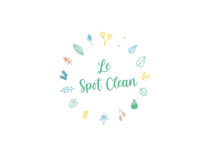 Logo Le Spot Clean V2