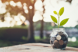 Plant on pile coins in the bottle, Money growing concept and the goal success.